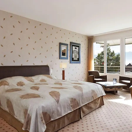 Angleterre Hotel 4*